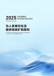 2025年半年度汇报